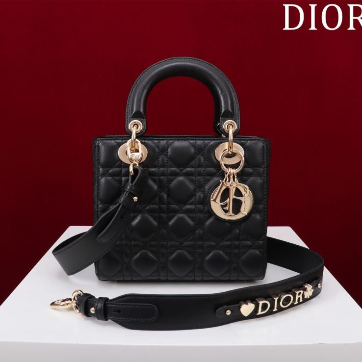 chr1st1an D10r my lady bags